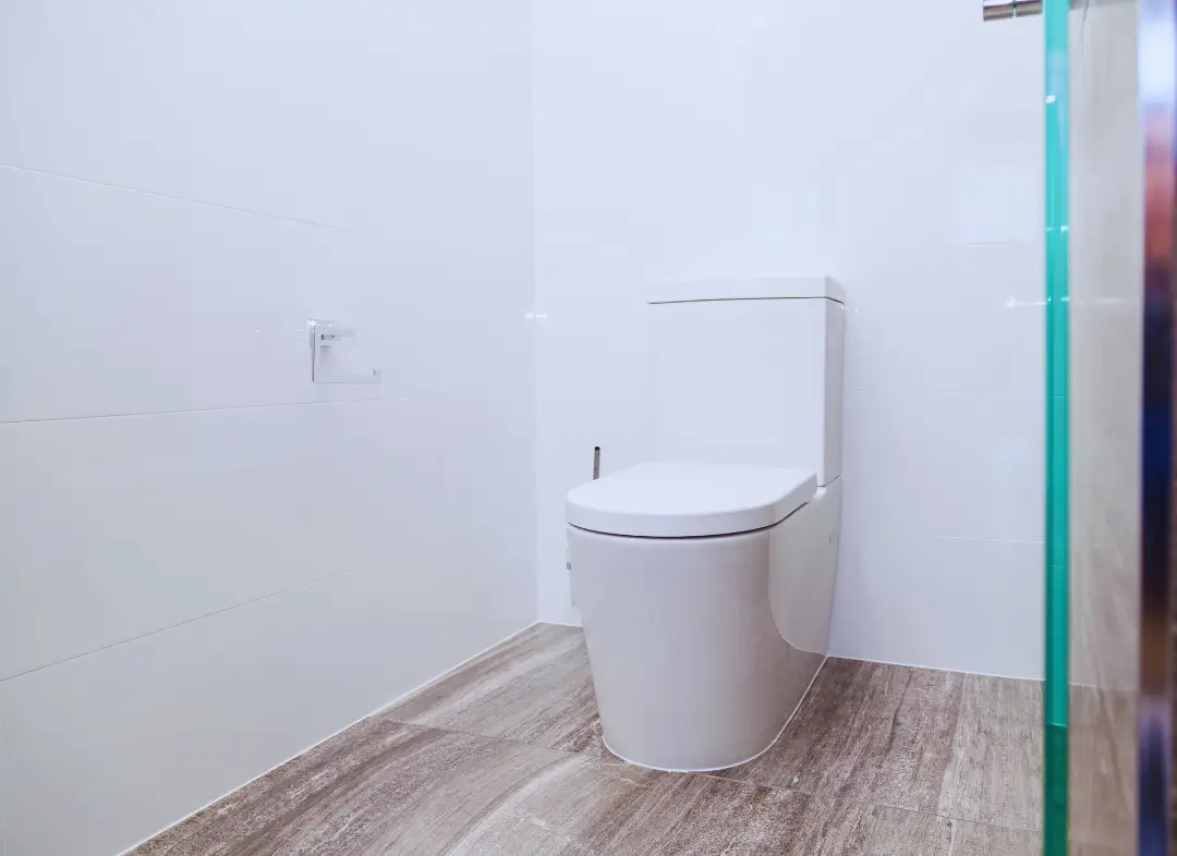 Remplacement de wc Thue et Mue