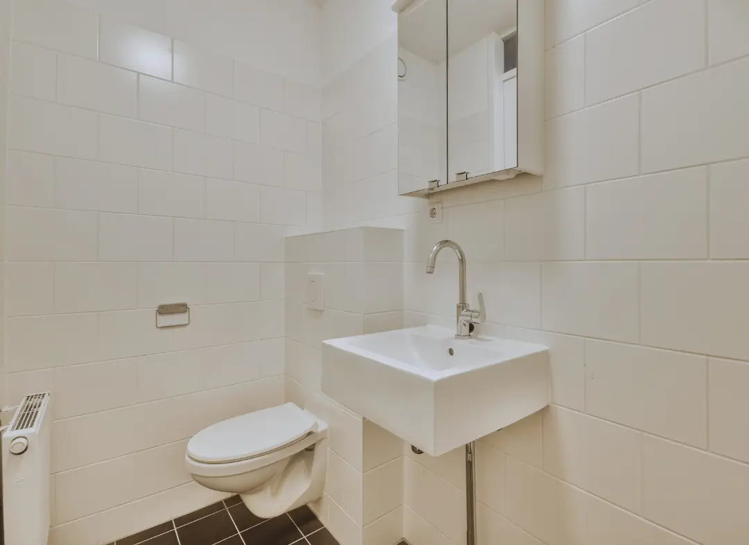 Pose WC Suspendu Thue et Mue